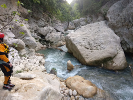 second set of trees (one branch is abelow the water level)