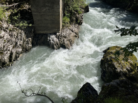 No more tree in the gorge at Chaudanne