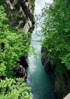 8tung Baum