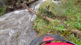 ... mit Baum (gleicher POV)