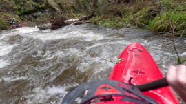 Bäume - Umtrager links oder rechts möglich.