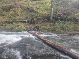 Kurz nach der Brücke mit der Schranke.