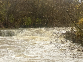 Blick von unten - Baum kaum zu erkennen - mit viel Risiko orographisch rechts dran vorbei paddeln