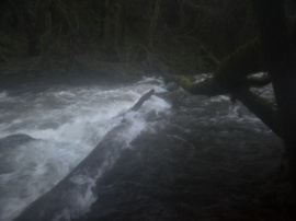 Scheinbar freie Durchfahrt, jedoch Ast in der Lücke!