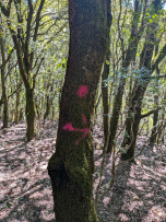 path symbol to follow.