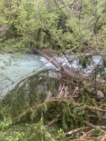 2. Baum